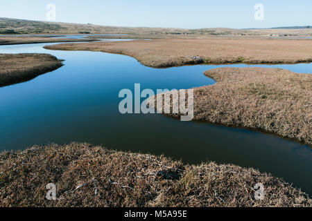 The open spaces of marshland and water channels. Flat calm water. Stock Photo