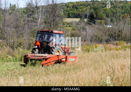Quebec,Canada. Farm tractor cutting grain crop