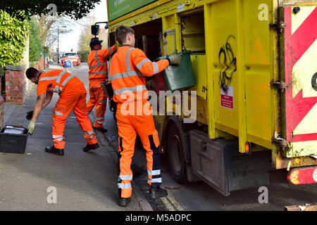 Recycling collection lorry with workmen on rounds doing sorting as they collect, UK Stock Photo