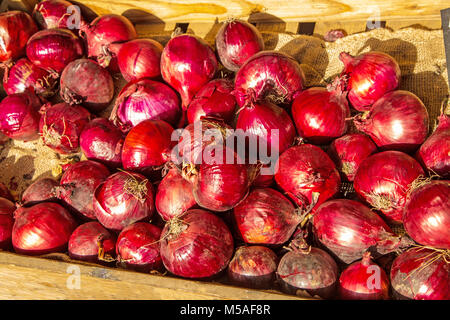 A box of red onions on display for sale in the sunshine Stock Photo