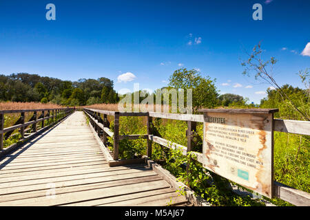 Josefsteg Danube Auen National Park Vienna The park covers 93 square kilometres in Vienna and Lower Austria. Stock Photo