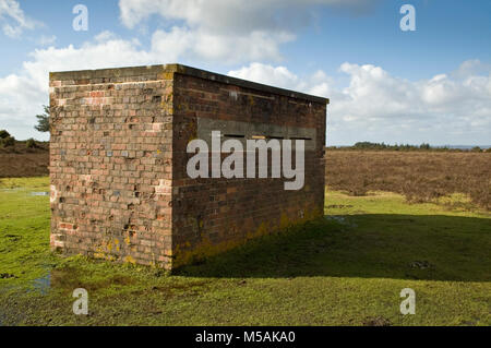New Forest at War, remaining evidence of wartime defences and activity. Stock Photo