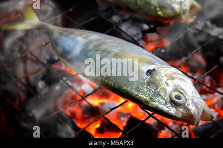 Indian mackerel fish grill on the charcoal cooking photo in flash lighting. Stock Photo