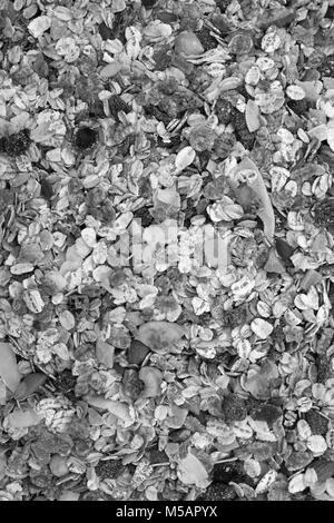 Muesli cereal with seeds, mixed fruit and nuts - as an abstract background texture - monochrome processing Stock Photo