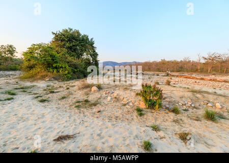 North Indian ecology: View of dried up riverbed in Jim Corbett National Park wildlife sanctuary, Ramnagar, Uttarakhand State, northern India Stock Photo