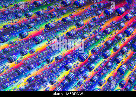 Water droplets on the shiny surface of a DVD. England UK GB Stock Photo