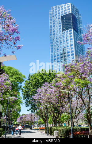 Buenos Aires Argentina,Puerto Madero,Repsol-YPF Tower,corporate high-rise,office building,modern architecture,Cesar Pelli,ARG171125279 Stock Photo