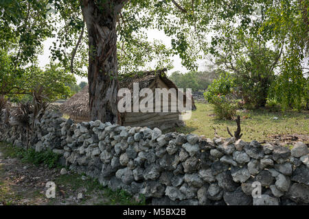 Sri Lanka, Region, Jaffna, Delft Island, Asia, market Stock Photo