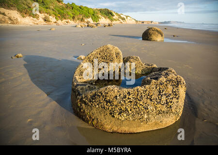 Among the Moeraki Beach Boulders, a boulder in the foreground is broken open and holds a shallow tidal pool. Early morning sun lights the boulders on  Stock Photo