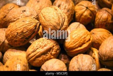 Group of Walnuts close up. Healthy organic food concept