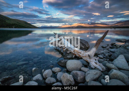 Sunset near Lake Tekapo South island New Zealand Stock Photo - Alamy