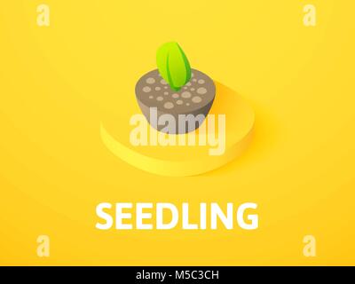 Seedling isometric icon, isolated on color background Stock Vector