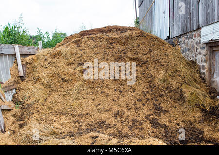 Horse Manure pile behind a barn on a farm Stock Photo