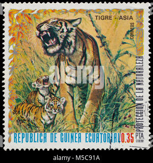 BUDAPEST, HUNGARY - 07 february 2018: stamp printed in the Equatorial Guinea shows tiger (Panthera tigris), circa 1976 Stock Photo