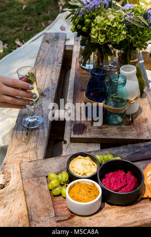 Picnic in the park with a ladies hand holding sparkling wine Stock Photo