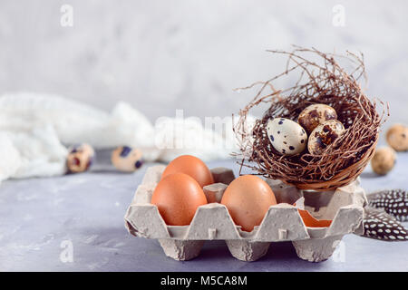 Brown eggs in craft carton pack with quail eggs in a nest on a concrete background. Fresh ingredients for Easter cooking. Copy space. Stock Photo