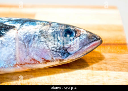 Mackerel head Stock Photo