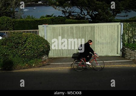 Male cycling in Falmouth, Cornwall Stock Photo