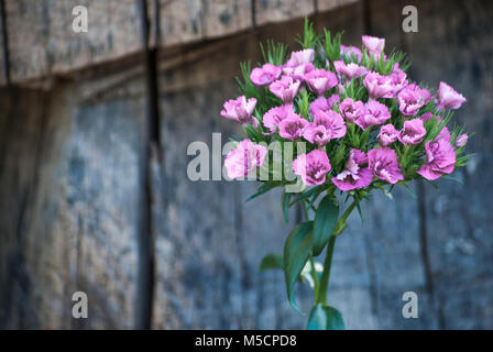 A little bouquet of violet garden blooms grows before a rustic wooden fence. Backdrop for garden publications, nature media, and wedding invitations. Stock Photo