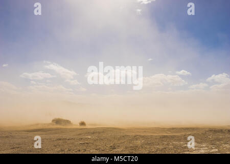 Light shines through the rising grains of a sandstorm in the vast hot desert.