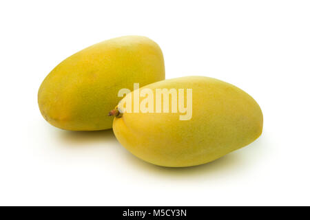 Mangos on white background Stock Photo
