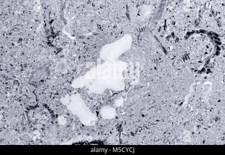 Gray-colored marble texture Stock Photo