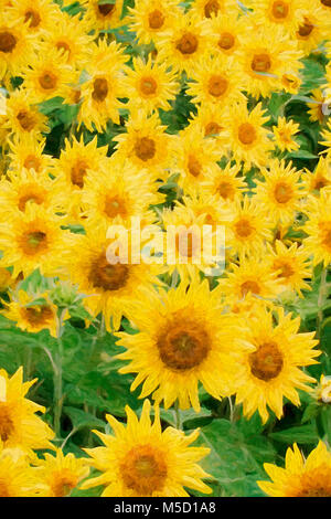 Impressionist Art of a beautiful field of sunflowers Stock Photo