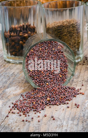 Black Mustard Seeds (Brassica nigra) with container glass Stock Photo