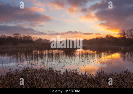 Barton-upon-Humber, North Lincolnshire, UK. 22nd February, 2018. UK Weather: Sunrise over a Lincolnshire Wildlife Trust Nature Reserve at Barton-upon-Humber, North Lincolnshire, UK. 22nd February 2018. Credit: LEE BEEL/Alamy Live News Stock Photo