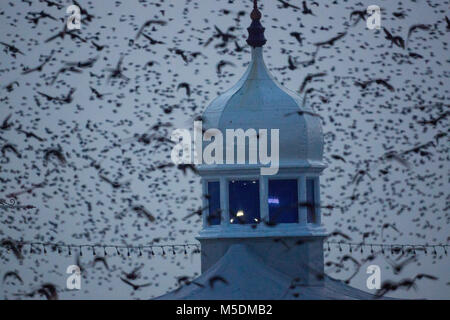 Blackpool, Lancashire,  UK,  22nd February 2018.UK Weather news. A cold evening in Blackpool as huge numbers of Starlings dance the day away producing a magical sight as the 'murmuration'continues into dusk. copyright Gary Telford/Alamy live news Stock Photo