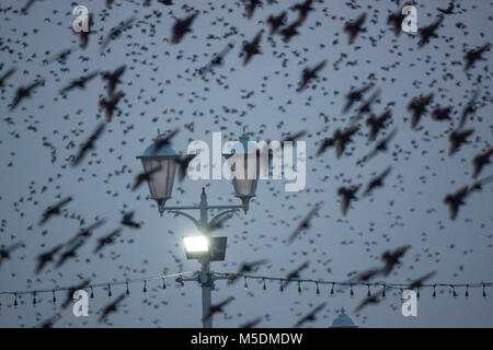 Blackpool, Lancashire,  UK,  22nd February 2018.UK Weather news. A cold evening in Blackpool as huge numbers of Starlings dance the day away producing a magical sight as the 'murmuration'continues into dusk. copyright Gary Telford/Alamy live news Stock Photo