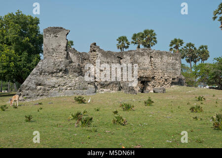 Sri Lanka, Region, Jaffna, Delft Island, Asia, ruin Stock Photo