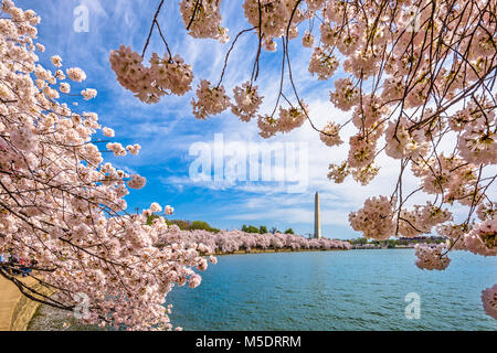 Washington DC, USA in spring season. Stock Photo