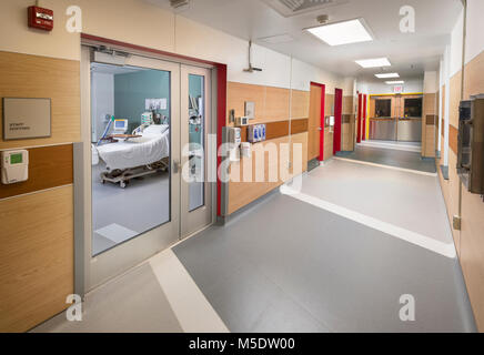 Patient in isolation room, Sterile area, Transplant unit, Hematology ...