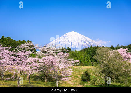 Mt. Fuji viewed from rural Shizuoka Prefecture in spring season. Stock Photo