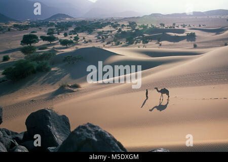 Niger, Tazarzait. Sahara desert. Air mountains. Sahel. Tenere desert. Tuareg tribe. Nomads. Man with camel. Unesco, World Heritage Site. Stock Photo