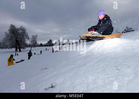 Snow, winter, snow-covered, coldly, Schlitteln, sleigh-riding, sledge, fun, Snow sport, children, Bob, white Stock Photo