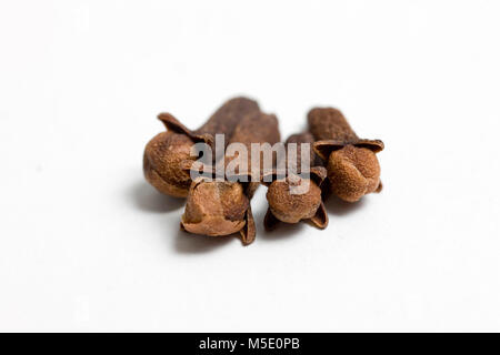 Remedial plant, dryly, plant parts, remedial plants, herb, herbs, tea, tea herbs, carnations, carnation, clove Stock Photo