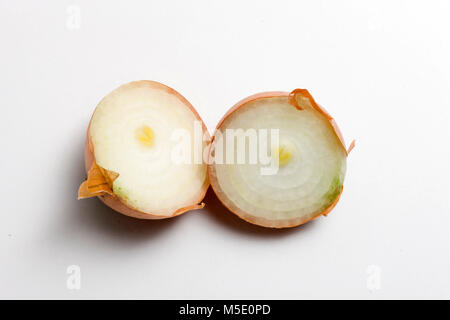 Remedial plant, dryly, plant parts, remedial plants, onion, vegetables Stock Photo