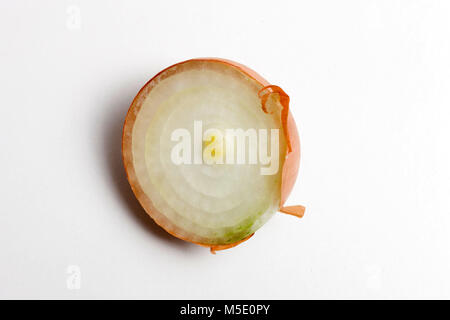 Remedial plant, dryly, plant parts, remedial plants, onion, vegetables Stock Photo