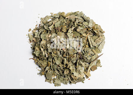 Remedial plant, dryly, plant parts, remedial plants, herb, herbs, tea, tea herbs, women's coat Stock Photo