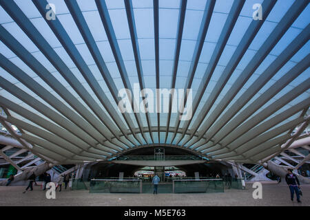 LISBON, PORTUGAL - January 31, 2011: Modern architecture at the Oriente Station (Gare do Oriente) in Lisbon, Portugal Stock Photo