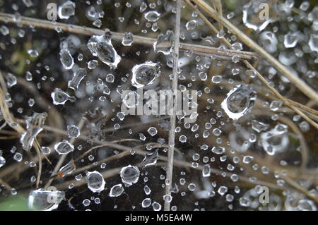 rain drops caught in a spiderweb clinging to rocks and dry grass Stock Photo