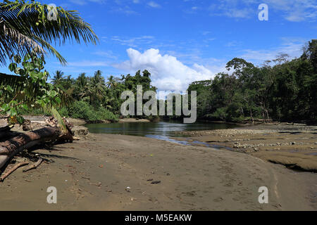 The Sirena River as it meets the Pacific Ocean in the remote rainforest jungles of the Osa Peninsula, Costa Rica. Stock Photo