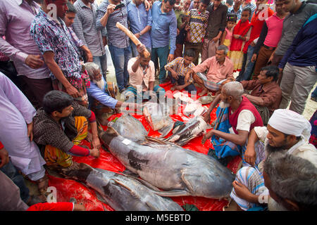 Visitors gathered to see 100- kg ' Baghar Fish' slicing. Stock Photo