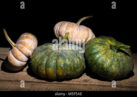Collection of four hand picked fresh pumpkins, big and small in various stages of aging displayed on a wooden table top. Rustic food and drink scene Stock Photo