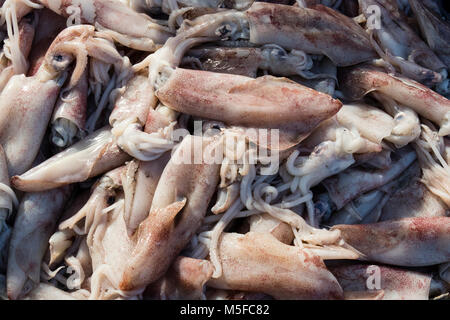 Close-up of cuttlefish on a market Stock Photo