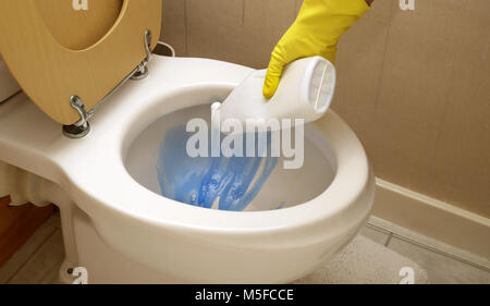 A woman wearing rubber gloves pouring cleaner into a toilet bowl Stock Photo