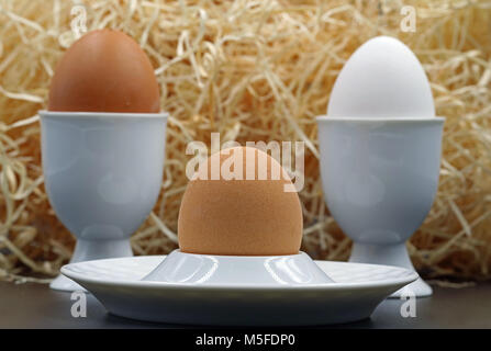 three breakfast eggs in eggcup isolated Stock Photo