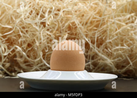 single egg in cup with wood wool Stock Photo